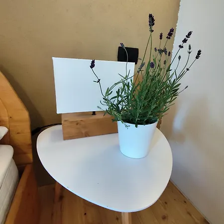 Naravna Lesena Hisa V Naravi Z Lastnim Vrtom Apartment *