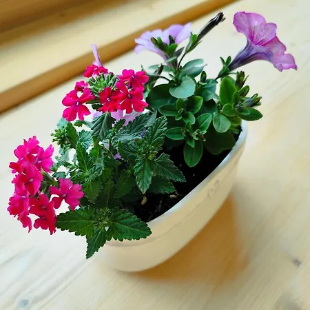 Naravna Lesena Hisa V Naravi Z Lastnim Vrtom شقة *